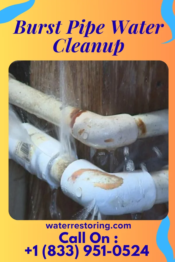 Burst Pipe Water Cleanup in Gustine, TX