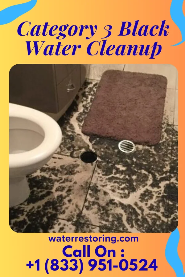 Category 3 Black Water Cleanup in Gustine, TX